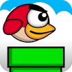 Tiny Red Bird